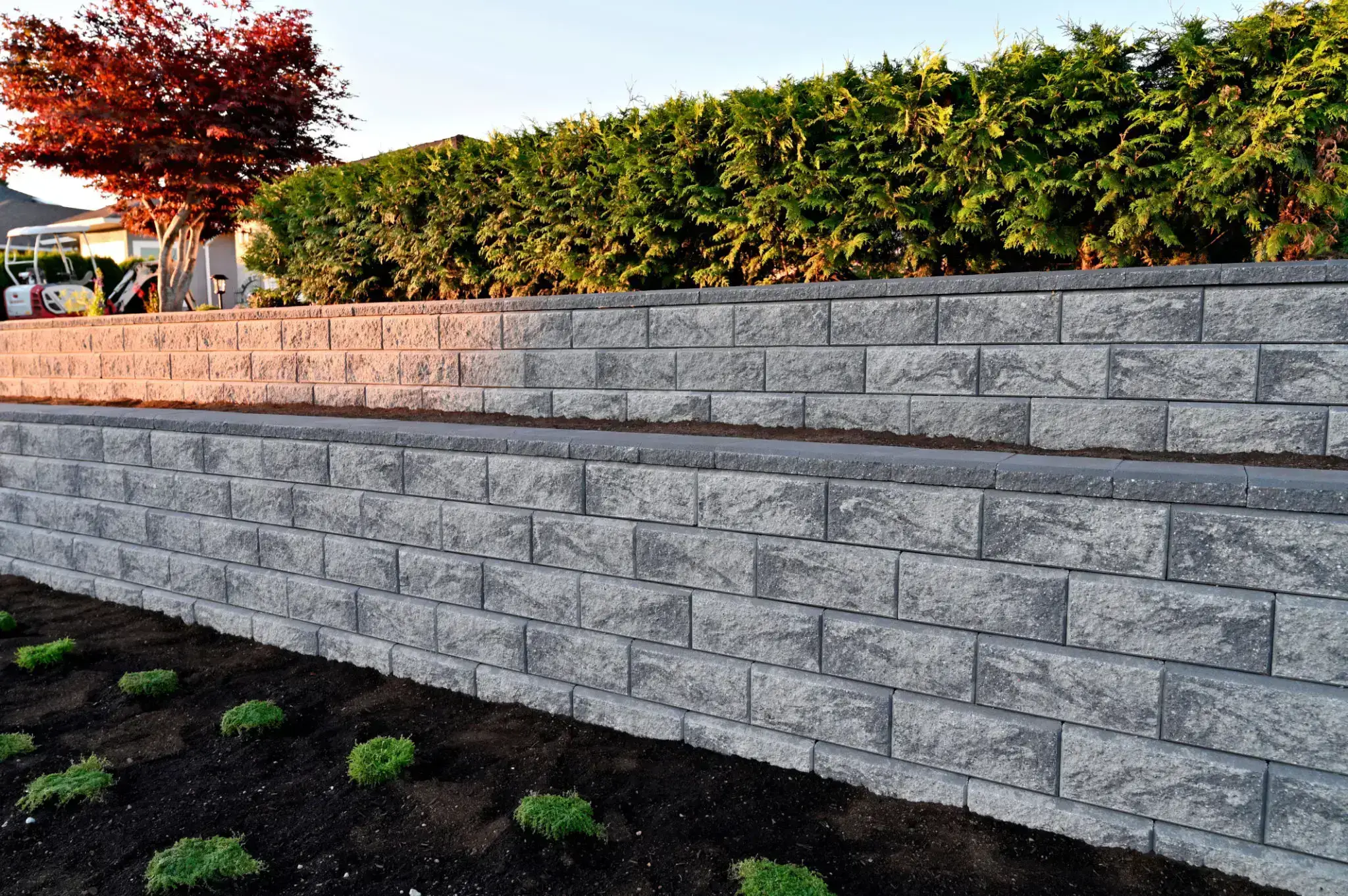 Stone retaining wall with green hedge on top in a garden.